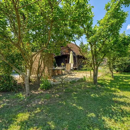 Appartamento Ida Estate House - Happy *
